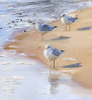 Three Gulls